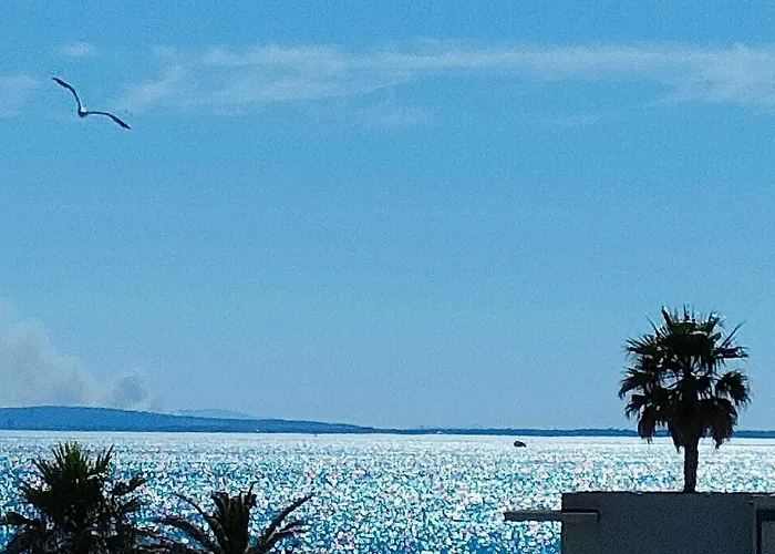 Savanna Beach
